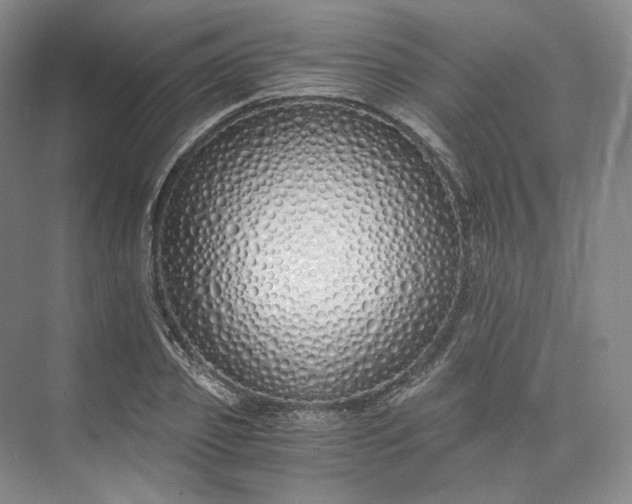 X0000073510933200608140930