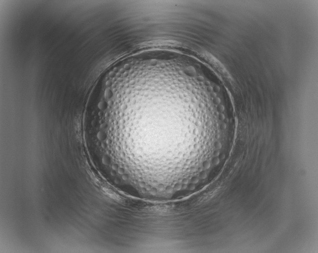 X0000073510937200608140930