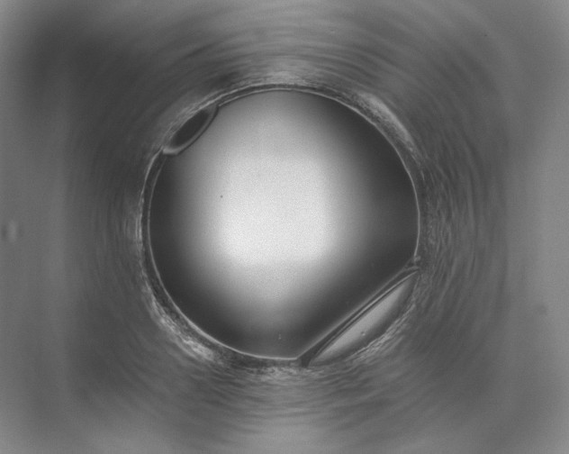 X0000073510938200608140930