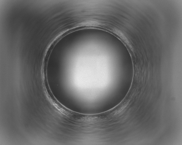 X0000073510939200608140930