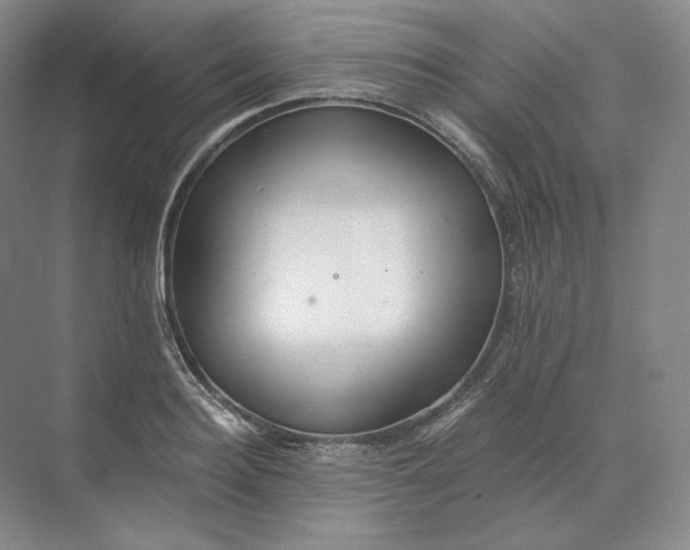 X0000073510940200608140930