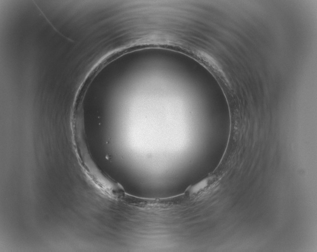 X0000073510942200608140930