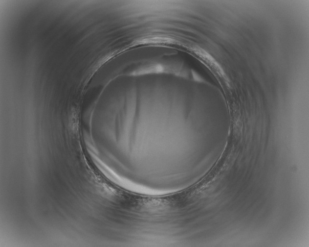 X0000073510945200608140930