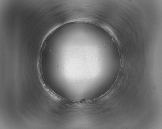 X0000073510952200608140931