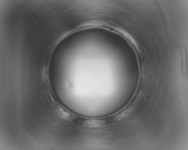 X0000073510953200608140931