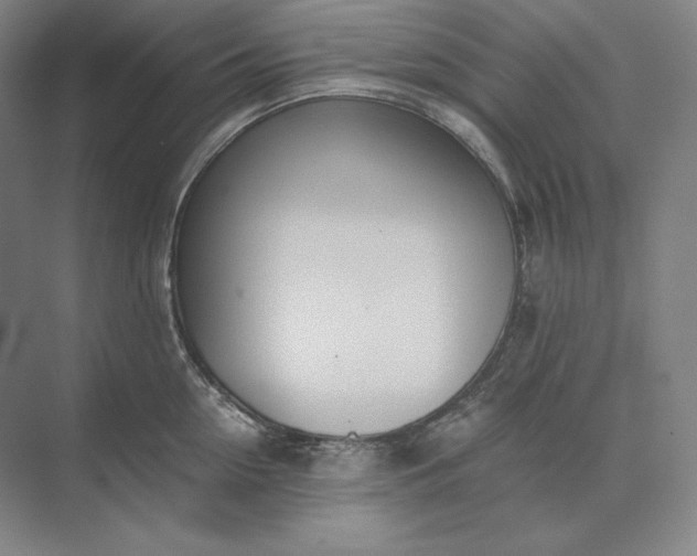 X0000073510954200608140931