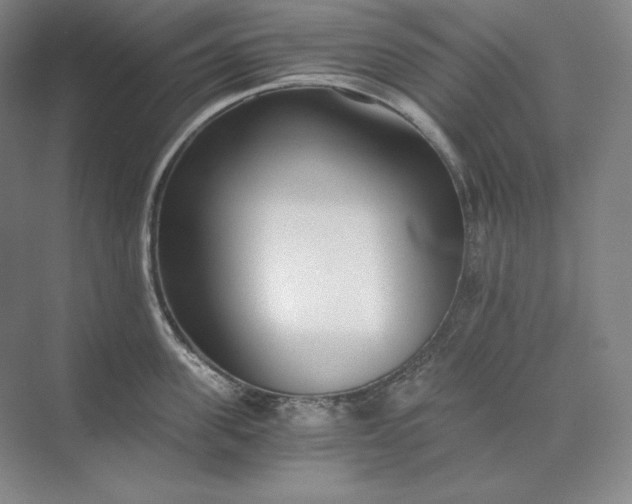 X0000073510955200608140931