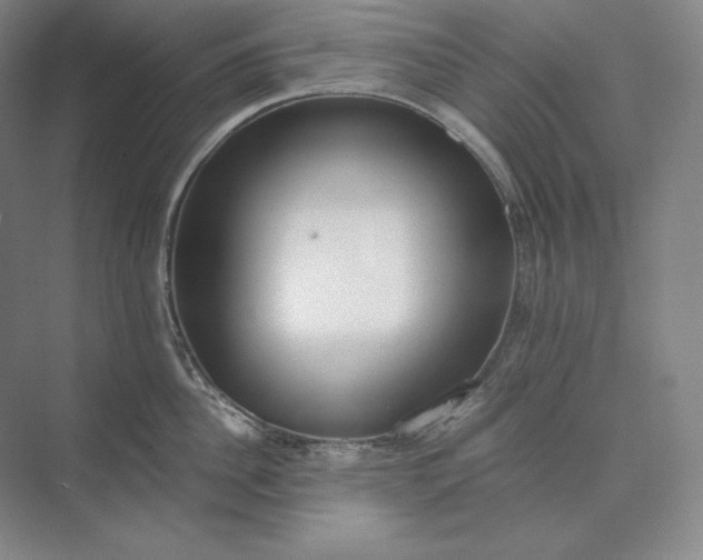 X0000073510956200608140931