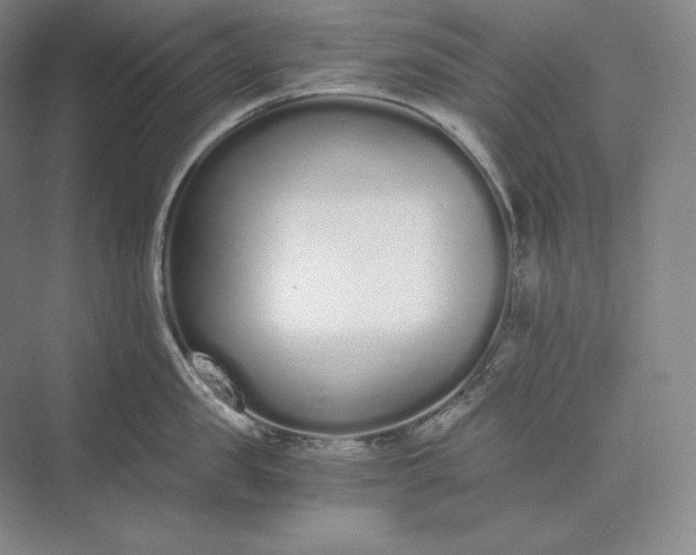 X0000073510957200608140931