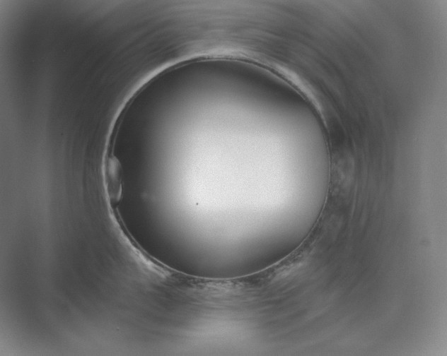 X0000073510959200608140931