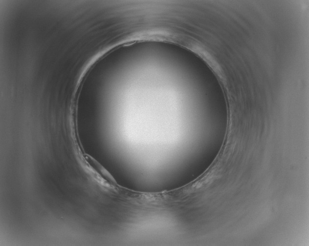 X0000073510960200608140931