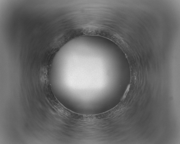 X0000073510964200608140930