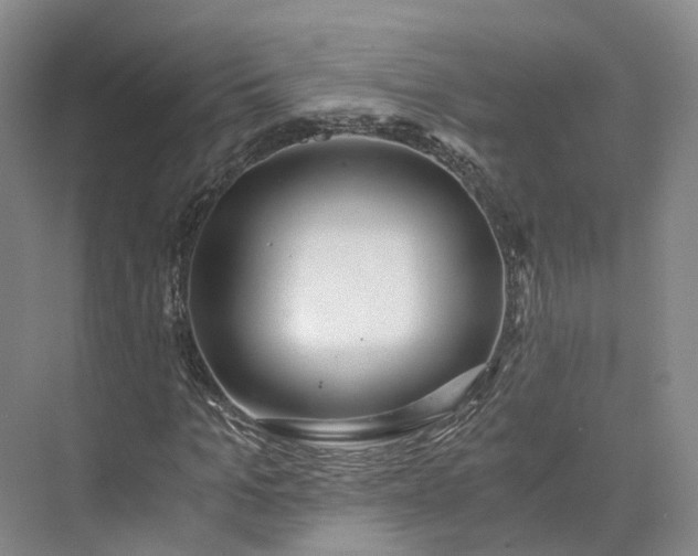 X0000073510965200608140930