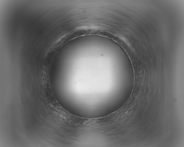 X0000073510967200608140930