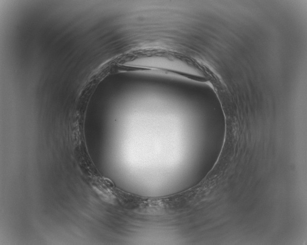X0000073510968200608140930