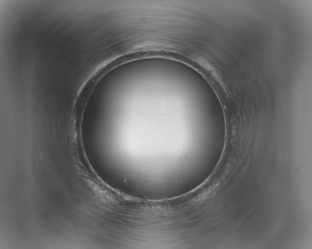 X0000073510973200608140930