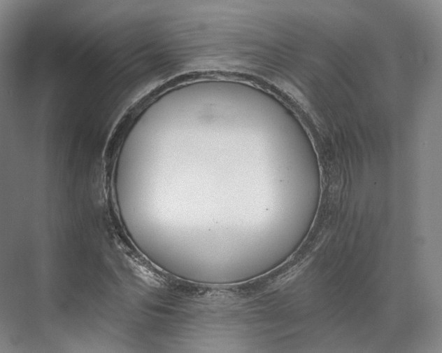 X0000073510974200608140930