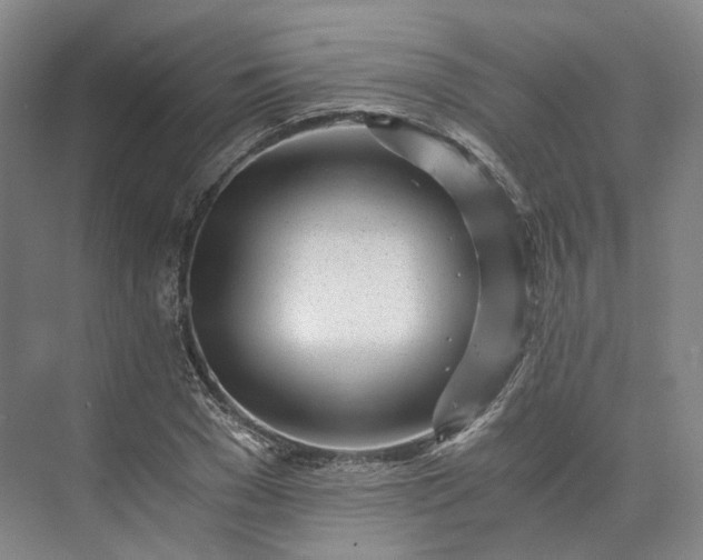 X0000073510977200608140930