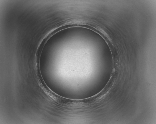 X0000073510981200608140930