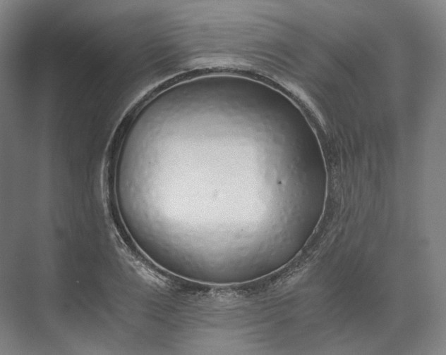 X0000073510983200608140930