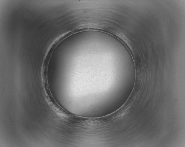 X0000073510987200608140929