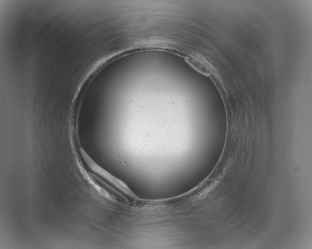 X0000073510989200608140929