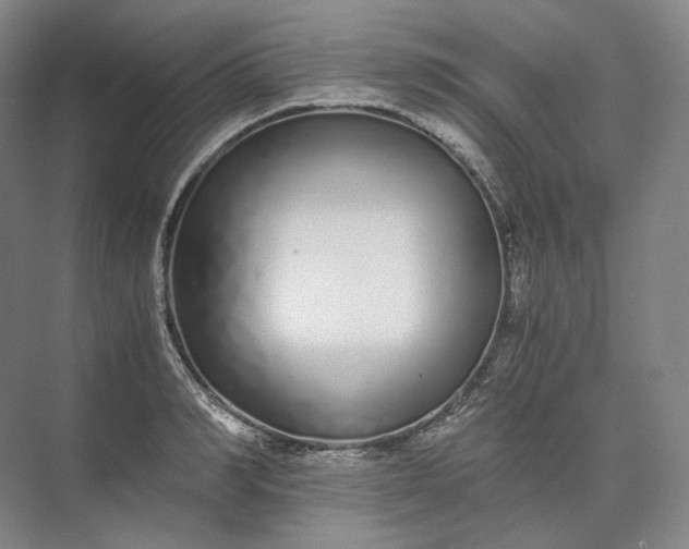 X0000073510990200608140929