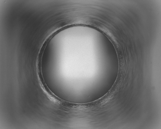 X0000073510991200608140929