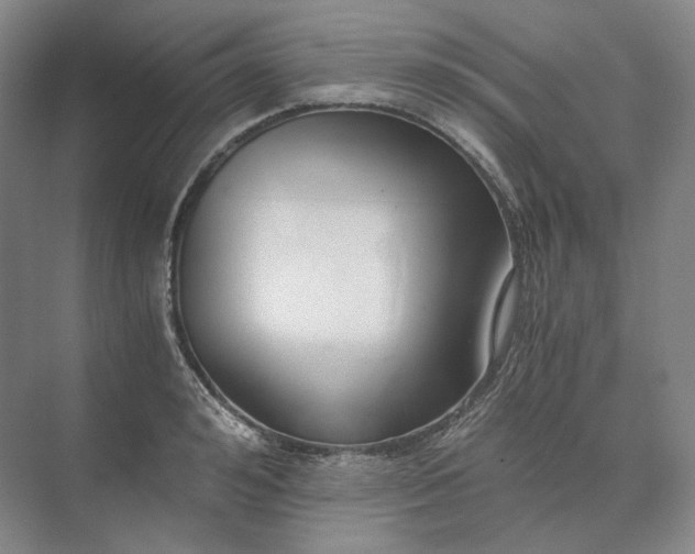 X0000073510992200608140929