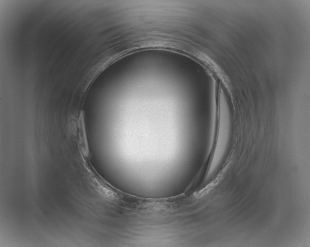 X0000073510993200608140929