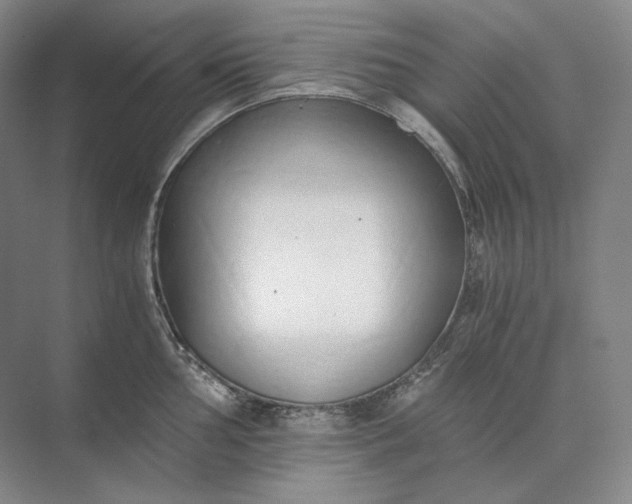 X0000073511002200608140929