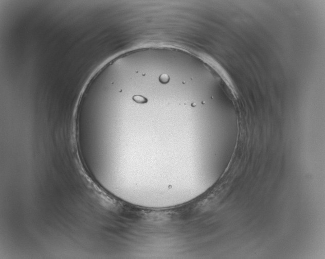 X0000073511004200608140929