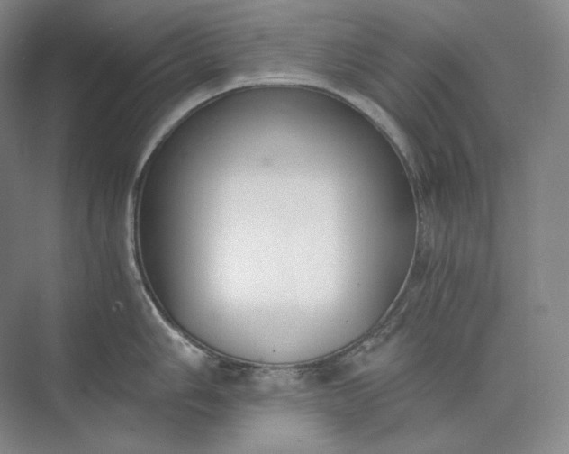 X0000073511006200608140929