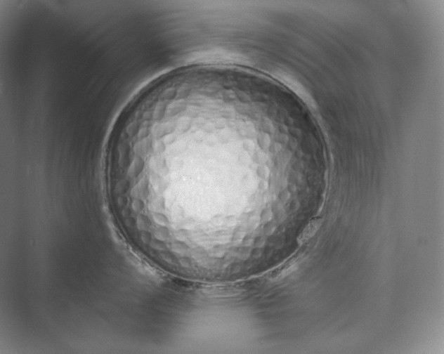 X0000073511008200608140929