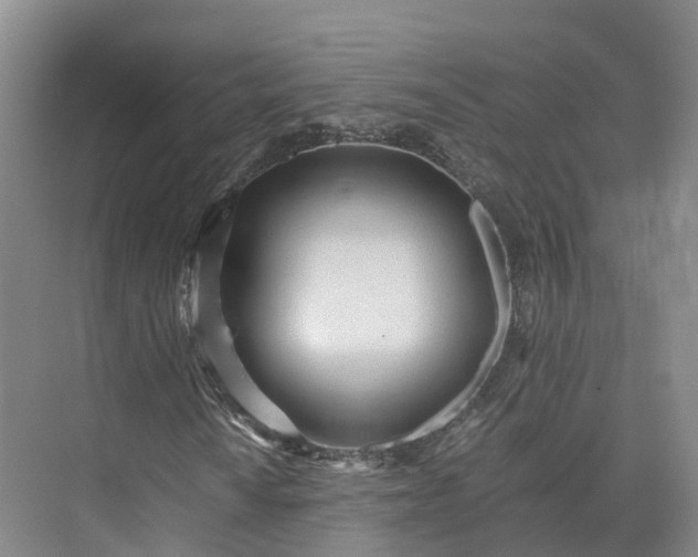X0000073511010200608140928