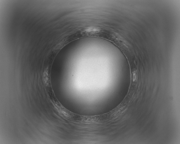 X0000073511011200608140928