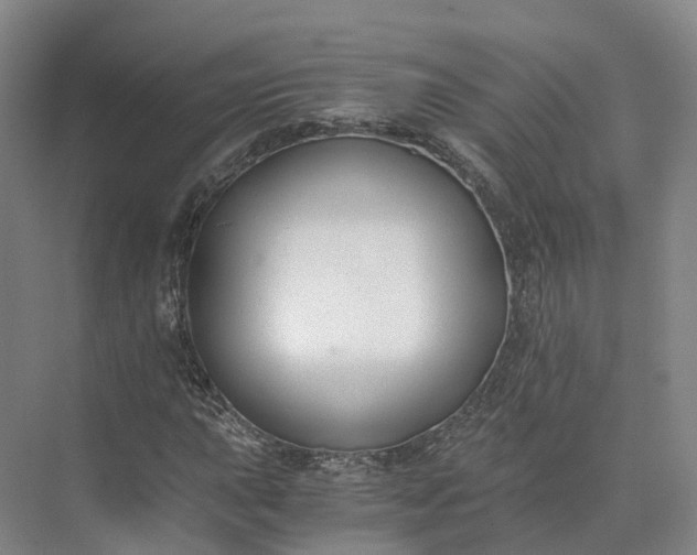 X0000073511015200608140928