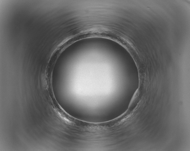 X0000073511018200608140928