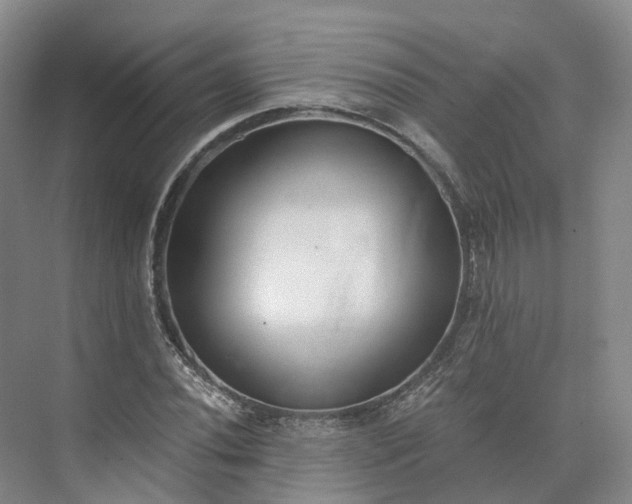 X0000073511020200608140928