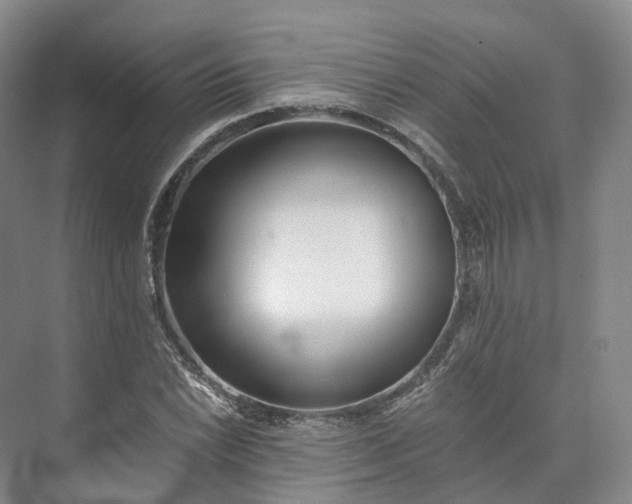 X0000073511022200608140928