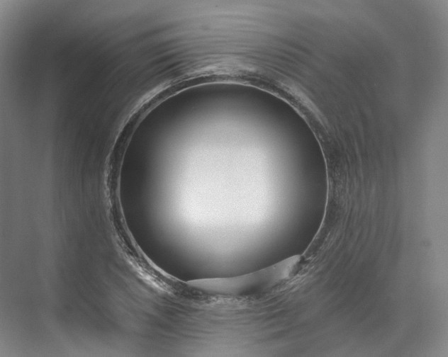 X0000073511026200608140929