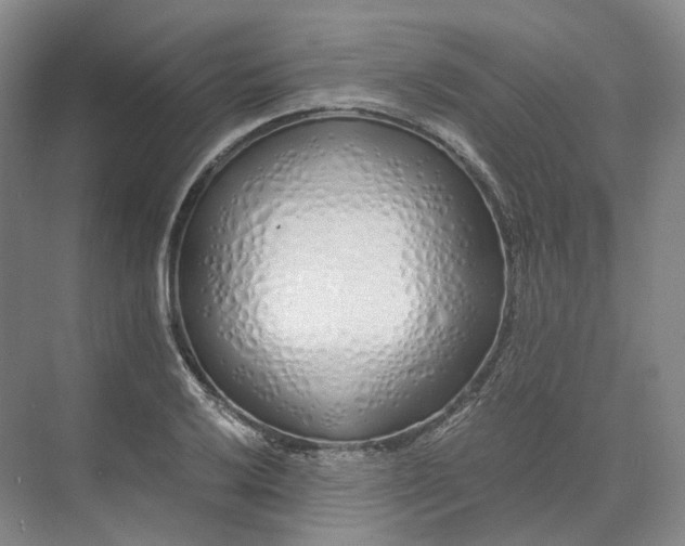X0000073511032200608140929