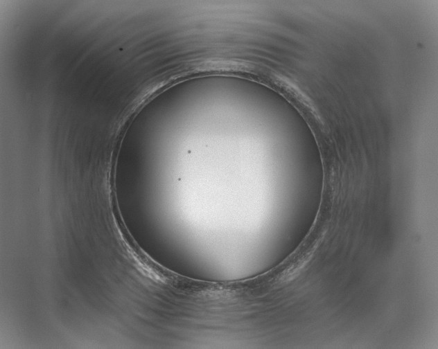 X0000073511033200608140929