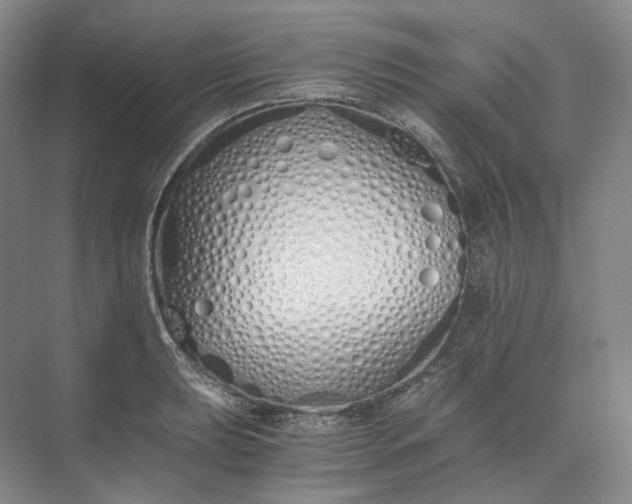 X0000073511039200608140929