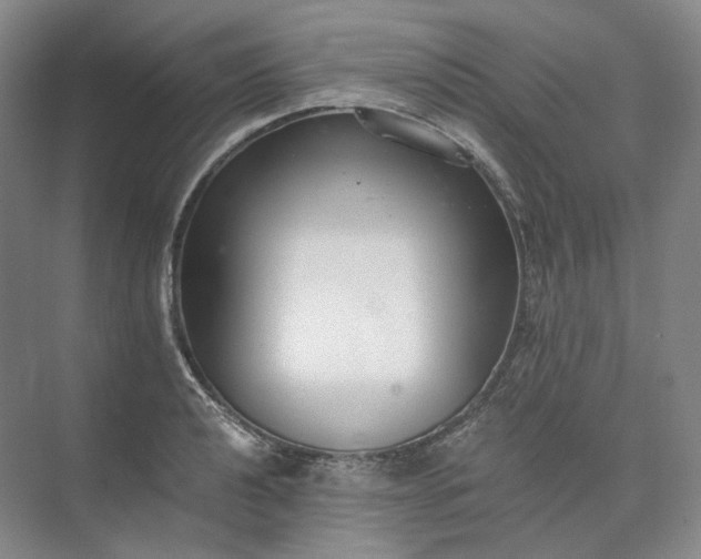 X0000073511040200608140929