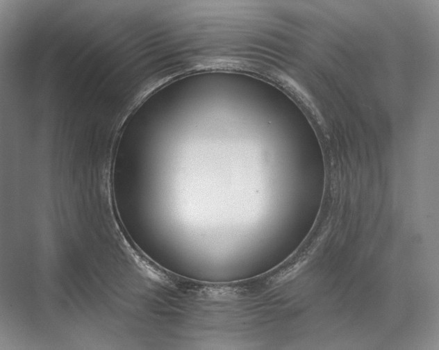 X0000073511041200608140929