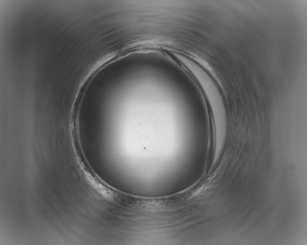 X0000073511042200608140929