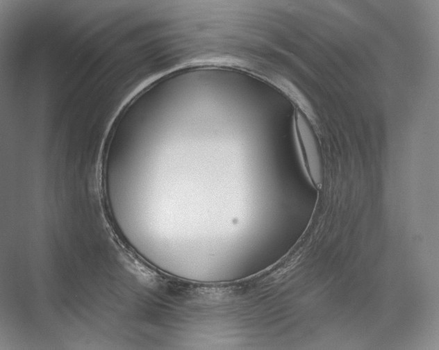 X0000073511044200608140929