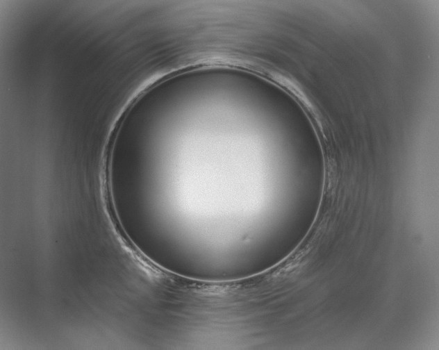 X0000073511048200608140929