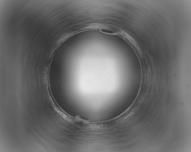X0000073511049200608140929
